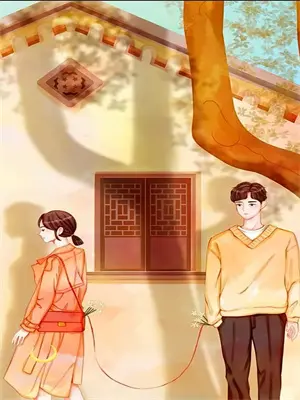 白夜追凶,白夜行