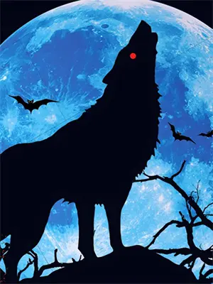 夏晚梓柯南（名柯：异世界推理女王）免费阅读无弹窗_名柯：异世界推理女王夏晚梓柯南全文免费阅读无弹窗大结局