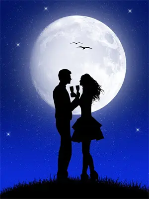 夏夜不再来临免费阅读完整版